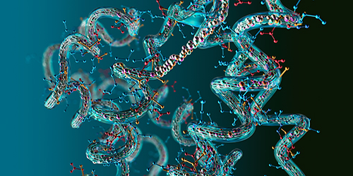 Lactylation in Protein-Molecule Interactions